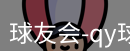 qy球友会